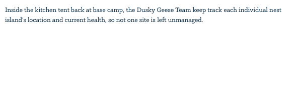Inside the kitchen tent back at base camp, the Dusky Geese Team keep track each individual nest island’s location and current health, so not one site is left unmanaged. 